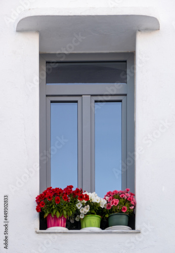 Pots with flowers on windowsill at Milos island  Plaka Cyclades Greece. Vertical