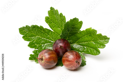 Closeup of ripe red gooseberry berry with leaf isolated on white background