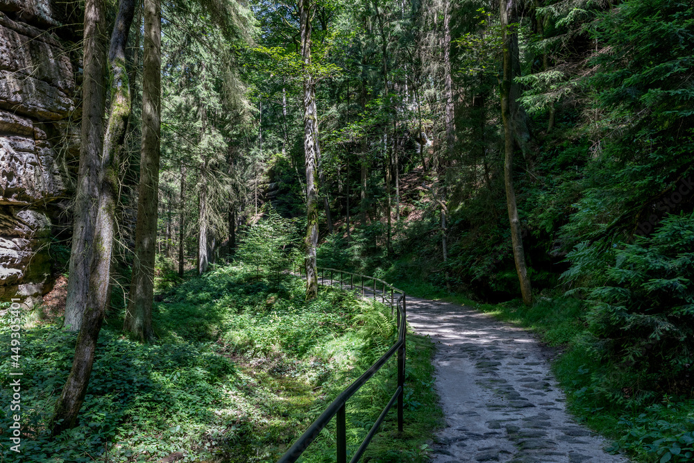 Obraz premium Sächsische Schweiz