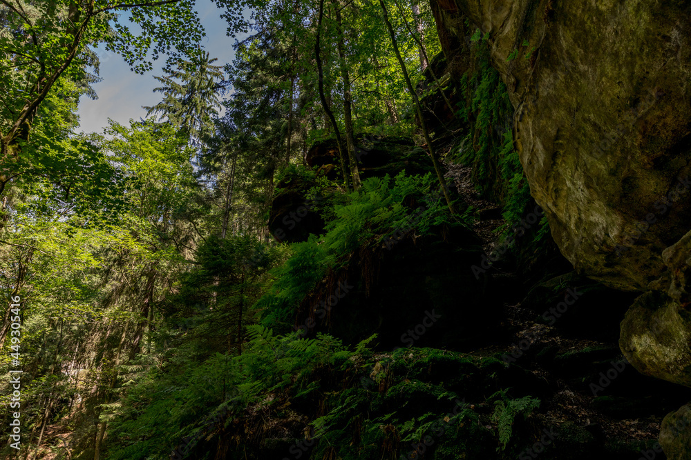 Sächsische Schweiz Sächsische Schweiz