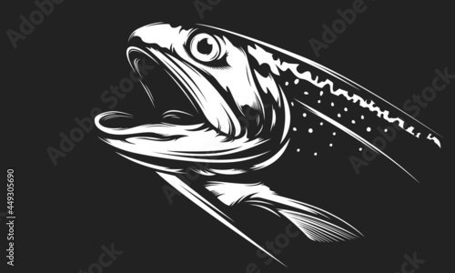 Rainbow trout jumping out water.Salmon isolated on white background. Concept art for horoscope, tattoo or colouring book.