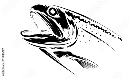 Rainbow trout jumping out water.Salmon isolated on white background. Concept art for horoscope, tattoo or colouring book.