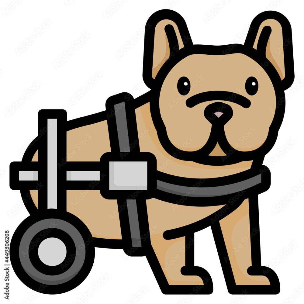 Are Paralyzed Dogs Happy