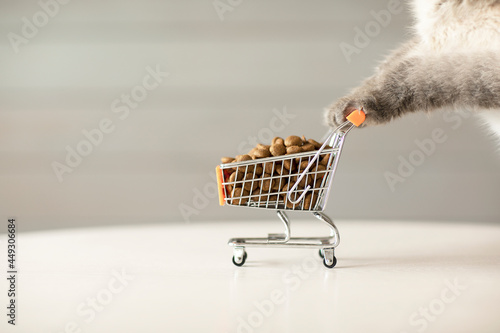 cat paws on a mini grocery basket with cat food