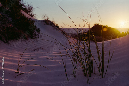 sunset on the beach