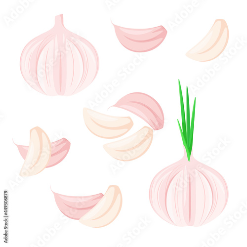 A set of whole and garlic cloves on a white background. A spicy vegetable.