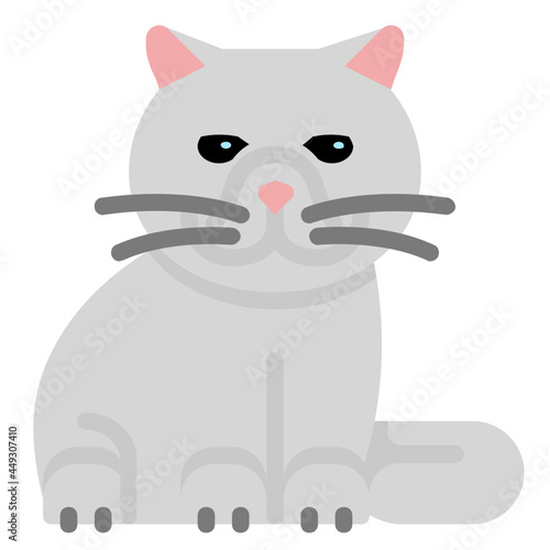 exotic shorthair flat icon