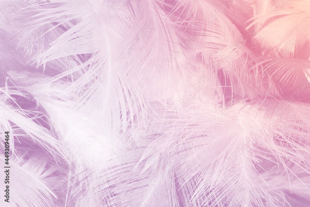 Fototapeta premium Beautiful violet feather texture background, pastel trends color