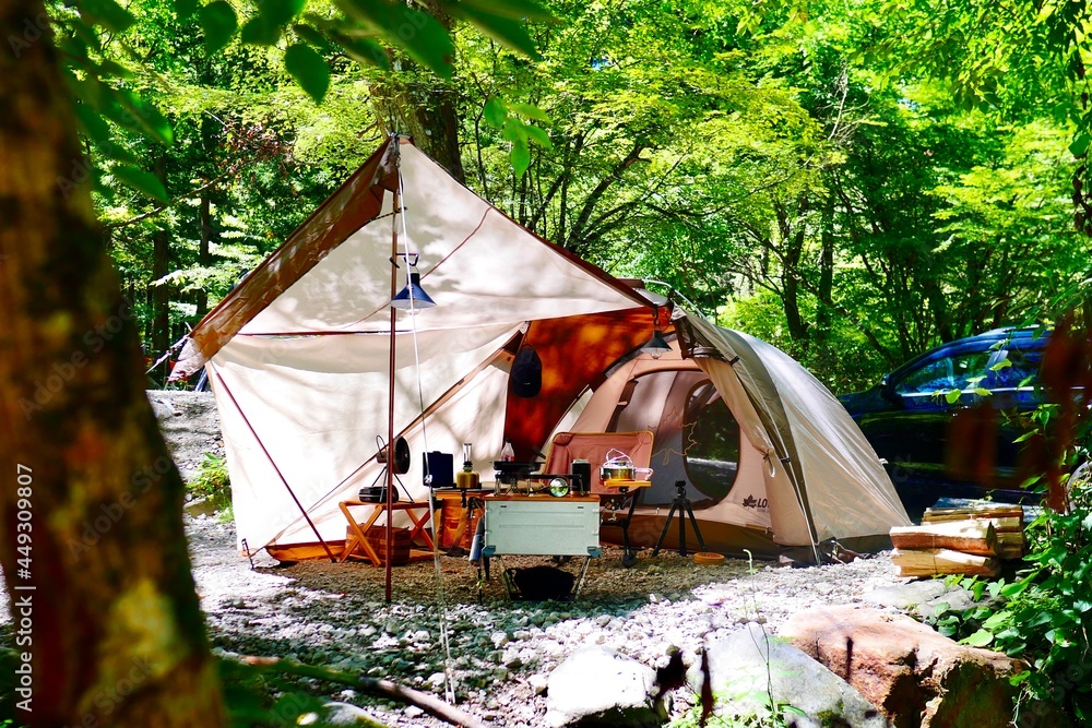 camping in the forest - obrazy, fototapety, plakaty 