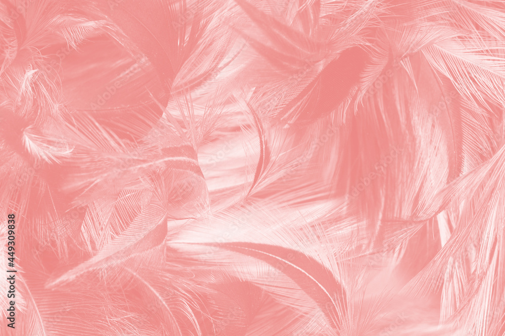 Beautiful soft pink feather pattern texture background Beautiful soft pink feather pattern texture background