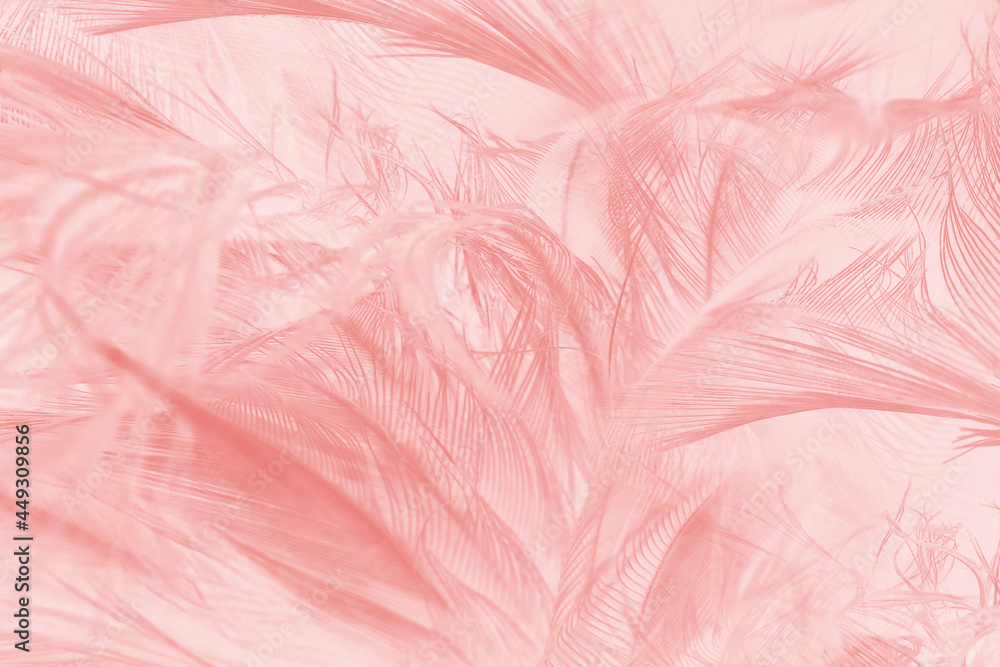 Beautiful light pink feather pattern texture background Beautiful light pink feather pattern texture background