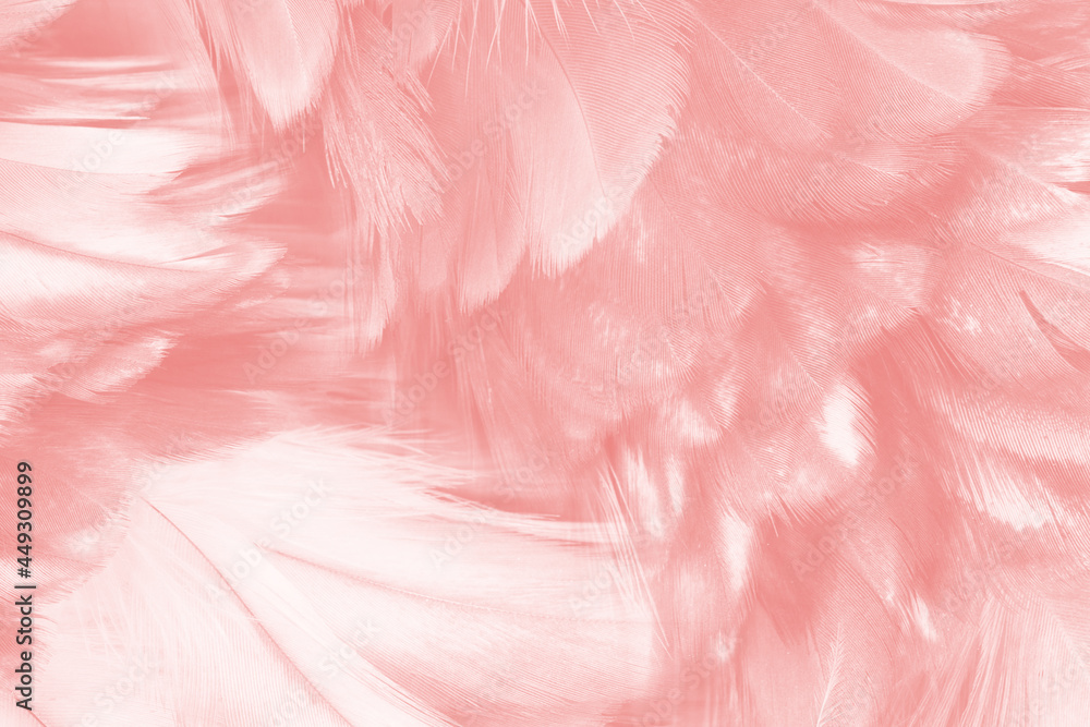 Beautiful light pink feather pattern texture background