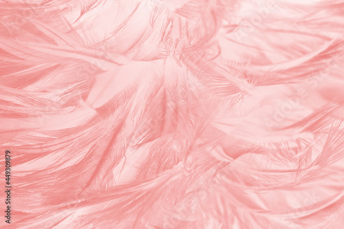 Wallpaper Mural Beautiful light pink feather pattern texture background Torontodigital.ca