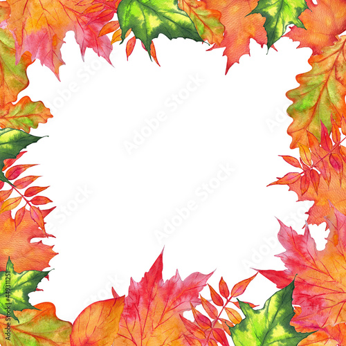 Watercolor banner of leaves and branches isolated on white background. Square frame.
