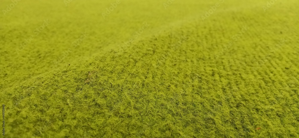 green grass background green carpet like a meadow or desert background wallpaper pattern texture