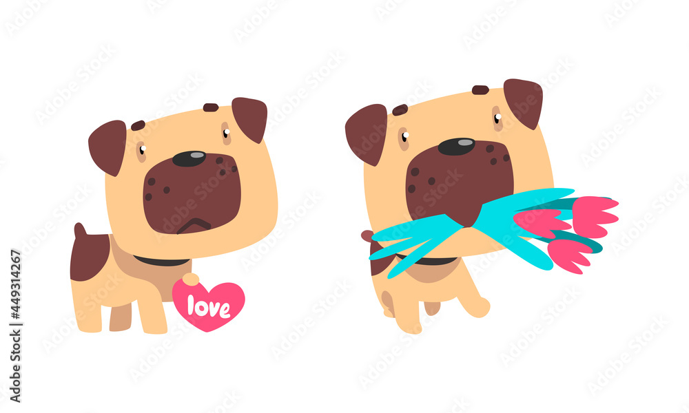 Naklejka premium Funny Pug Dog with Flower Bouquet and Valentine Heart Vector Set