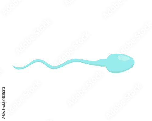 Vector illustration of a human spermatozoon isolated on a white background.