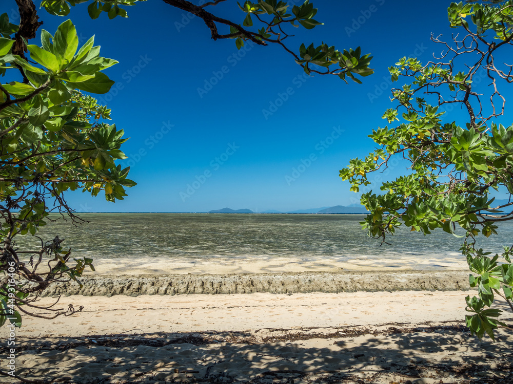 View through Trees to Reef Exposed at Low Tide