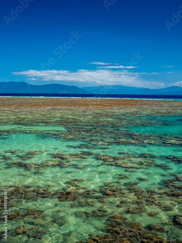 Fototapeta Naklejka Na Ścianę i Meble -  Great Barrier Reef Portrait Orientation