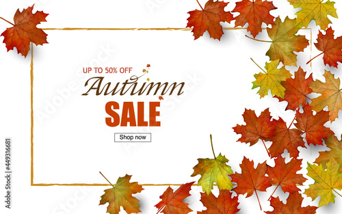 Autumn maple leaves web banner background template. Vector illustration.