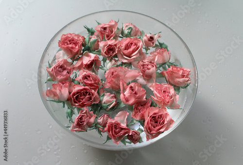 plate, red, vegetarian, Rose, water