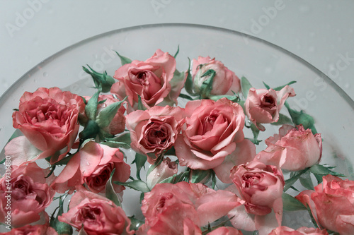 plate, red, vegetarian, Rose, water