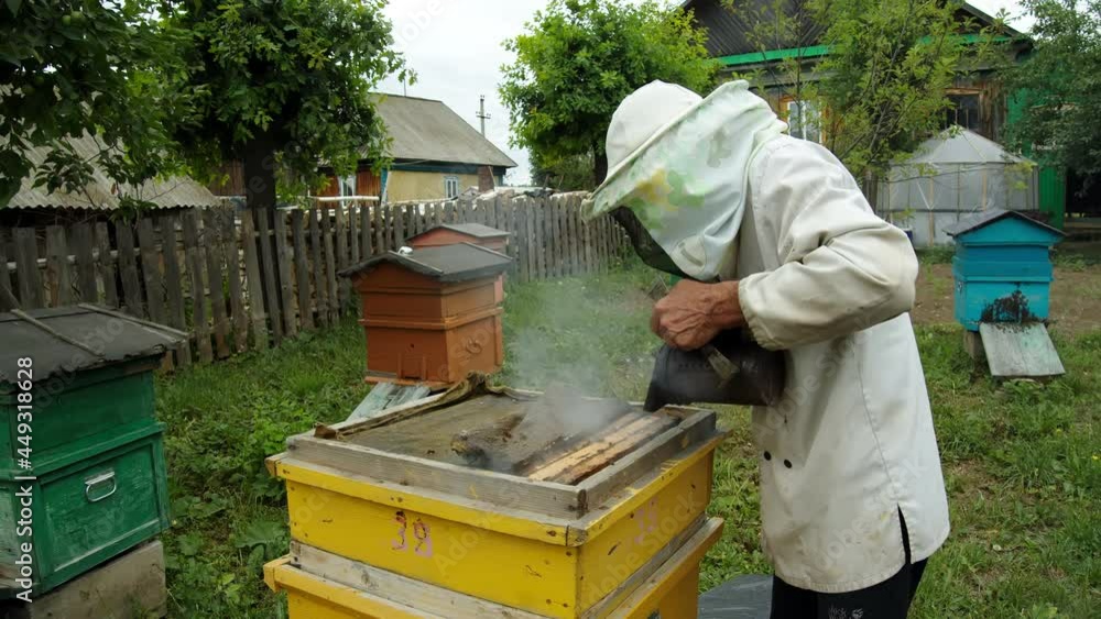 A man in a white protective suit looks after the hive. He treats it with a special steam. Bees fly out of the yellow box. For them, there are several more colorful houses around A man in a white protective suit looks after the hive. He treats it with a special steam. Bees fly out of the yellow box. For them, there are several more colorful houses around