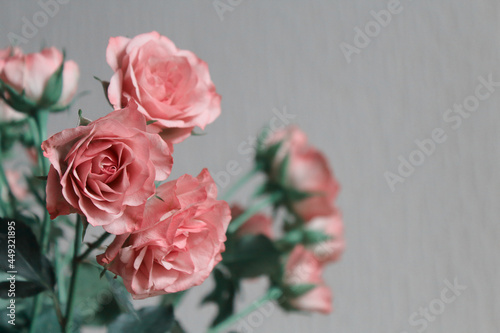 flower, bouquet, flowers, rose, pink, nature, blossom, floral, roses, beauty, decoration, flora, bloom, love
