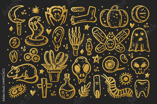 Golden scary ink vector Halloween illustration. Skull, druid knife, insect, ghost, rat, poison, eye, pumpkin, bone, cross, spider, rune, tooth, herb, death, danger. Isolated on dark background.