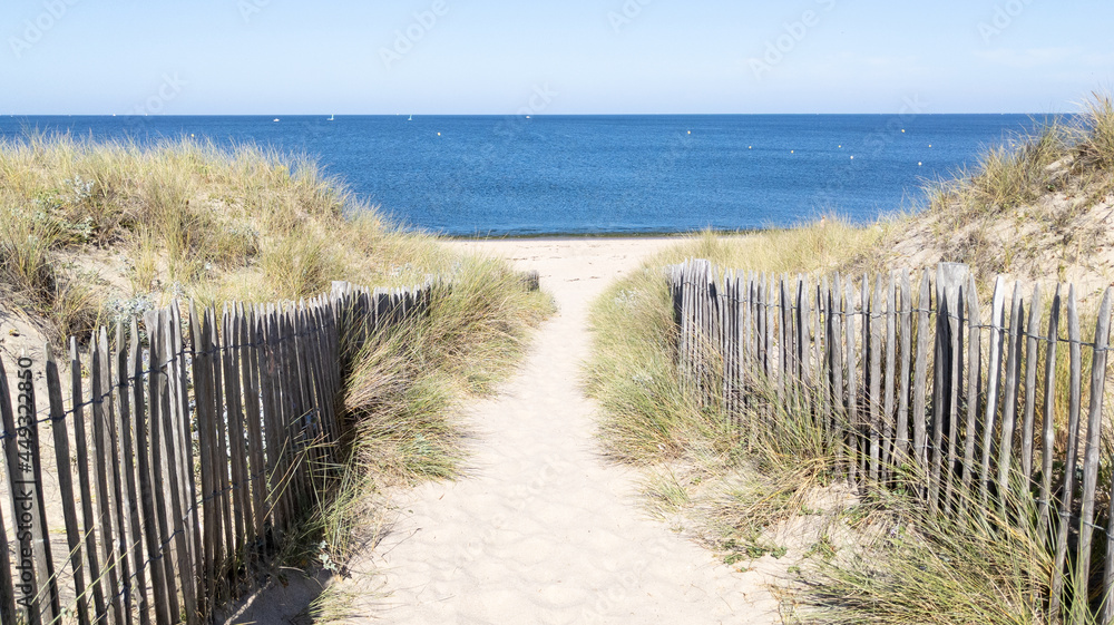 sandy dunes access coast to sea beach in lege Cap-Ferret coast Atlantic ocean in west france sandy dunes access coast to sea beach in lege Cap-Ferret coast Atlantic ocean in west france