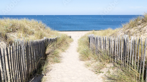 sandy dunes access coast to sea beach in lege Cap-Ferret coast Atlantic ocean in west france