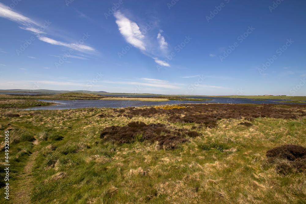 A rural landscape of Orkney Islands in Scotland, UK