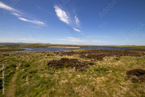 A rural landscape of Orkney Islands in Scotland  UK