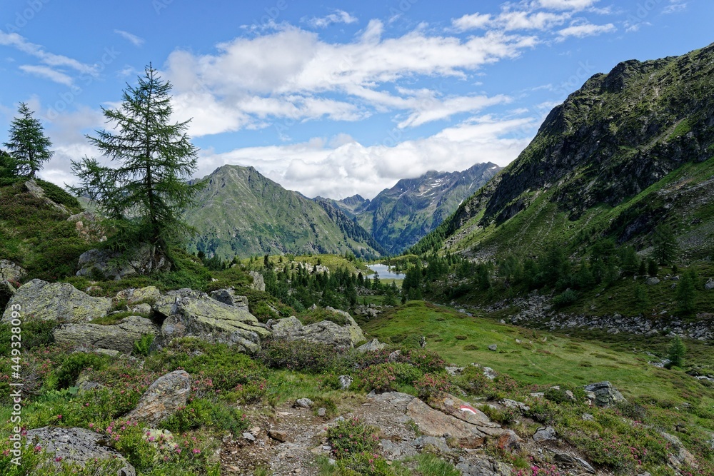 mountain landscape in the alps