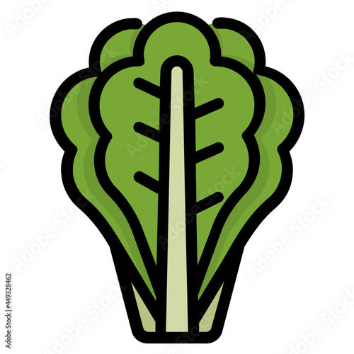lettuce line icon