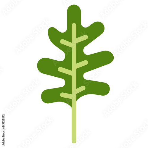 arugula flat icon
