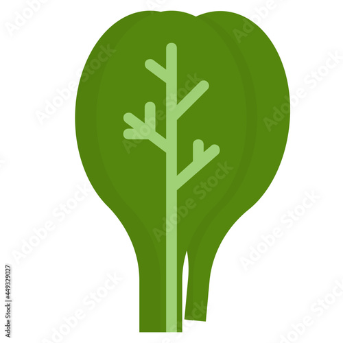 spinach flat icon