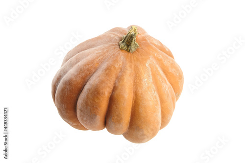 Pumpkin isolated on white background. Single whole ribbed pumkin photo