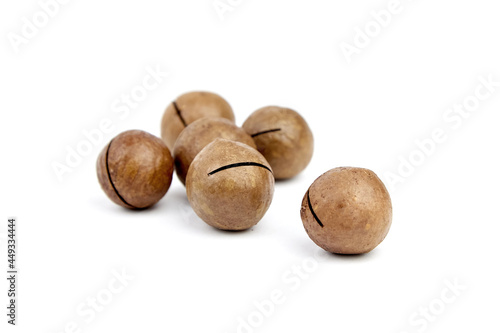 Roasted macadamia nuts in shell isolated on white background. Unshelled macadamia nuts