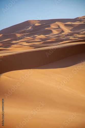 Desierto, sahara, calor. Desert, sahara, heat.