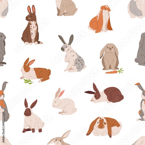 Seamless animal pattern with different cute rabbits and hares on white background. Endless repeatable texture with realistic adorable sweet bunnies. Colored flat vector illustration for printing