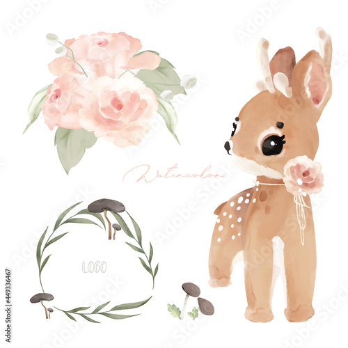Photography ILLUSTRATION WILDS ANIMALS AND NATURAL FLOWERS