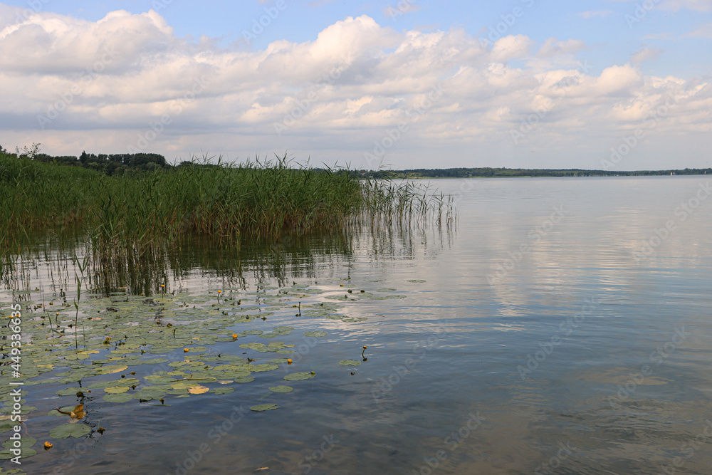 Sommer in Schleswig-Holstein; Blick über den Ratzeburger See von Westen