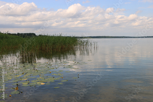 Sommer in Schleswig-Holstein  Blick   ber den Ratzeburger See von Westen