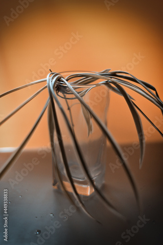 kitchen, design, decoration, flower, nature, object