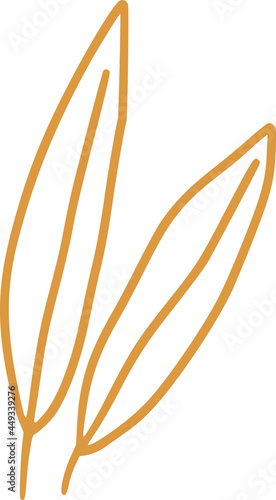 Vector hand drawn organic s...