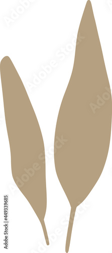 Vector hand drawn organic s...