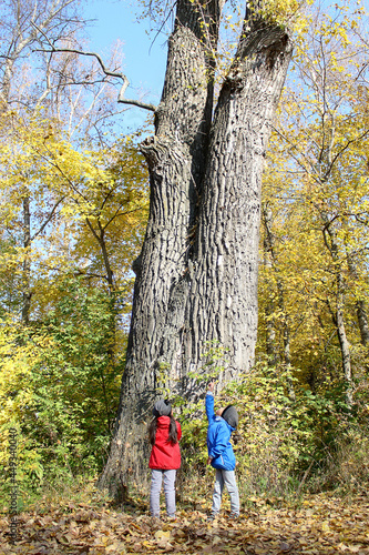 park, nature, tree, child, people, trees, day, love, season