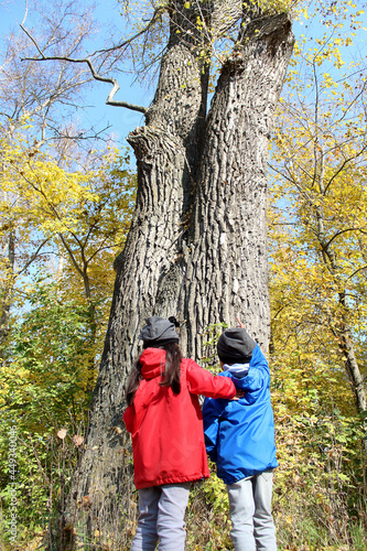 park, nature, tree, child, people, trees, day, love, season