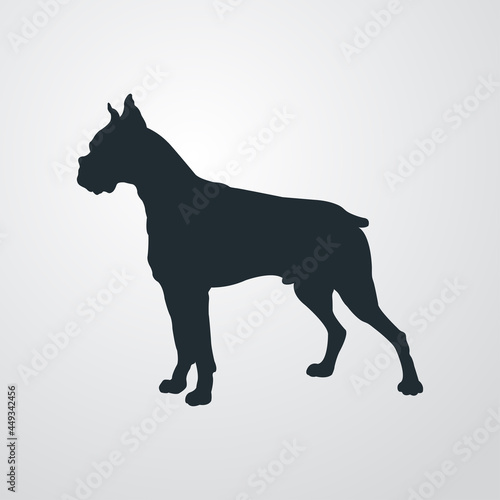 Razas de perro. Silueta de perro boxer en fondo gris